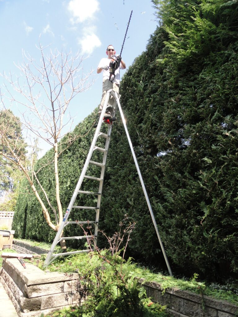A Man Cutting The Bushes