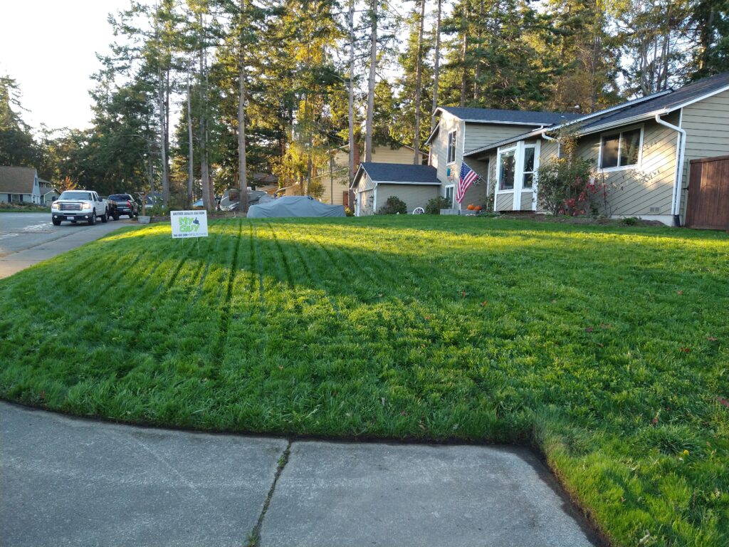 Lawn Yard